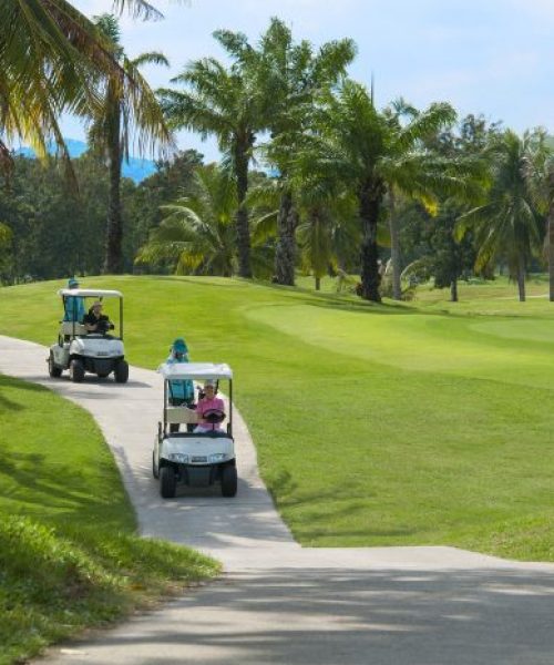 13New-cart-paths-DSC_3298-605x465